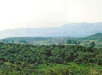 Krua Vrysh